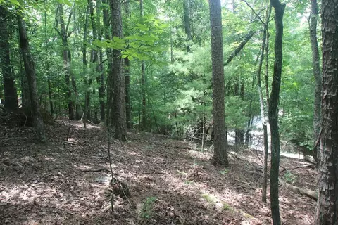2628 Garnet Drive, Ellijay, GA 30540