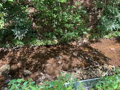 184196 Bear Bnd, Blairsville, GA 30512