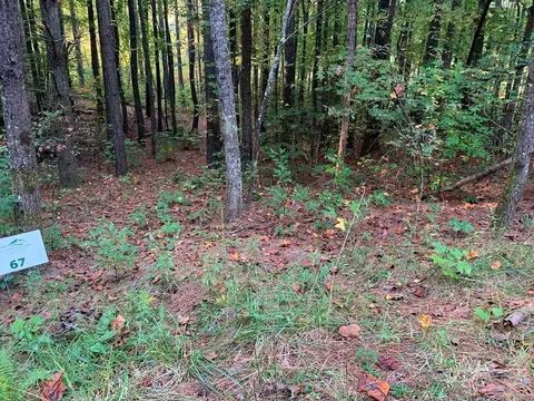 67 Sol Ln, Murphy, NC 28906