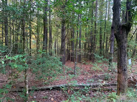 67 Sol Ln, Murphy, NC 28906 photo 3