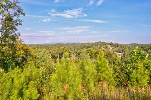 Lt 115 Ridge Wood Trail, Ellijay, GA 30546