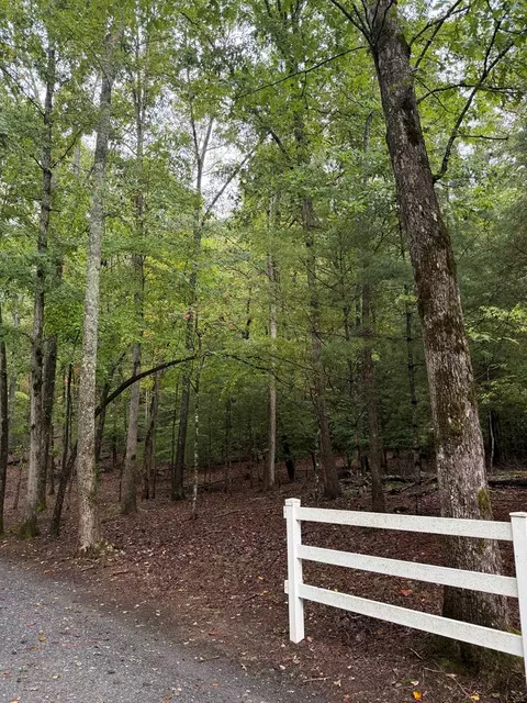 lot5 Ludlum Ln, Hayesville, NC 28904
