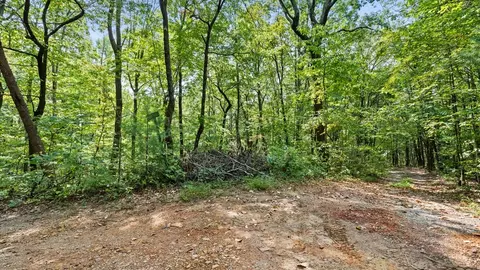 23 B Double Knob, Cherry Log, GA 30522 photo 8