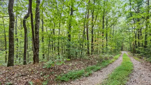 23 B Double Knob, Cherry Log, GA 30522 photo 9