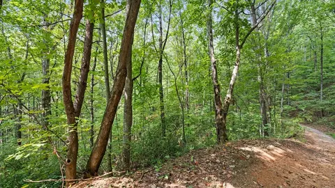 23 B Double Knob, Cherry Log, GA 30522 photo 11