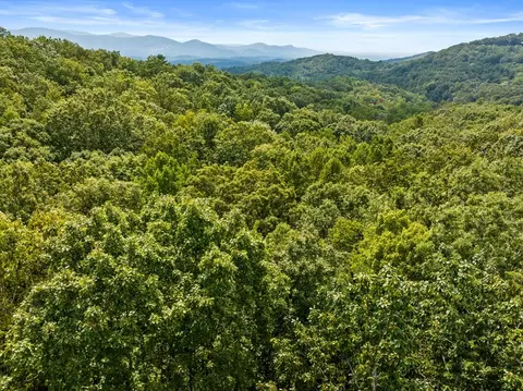 23 B Double Knob, Cherry Log, GA 30522 photo 5