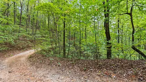 23 B Double Knob, Cherry Log, GA 30522 photo 10