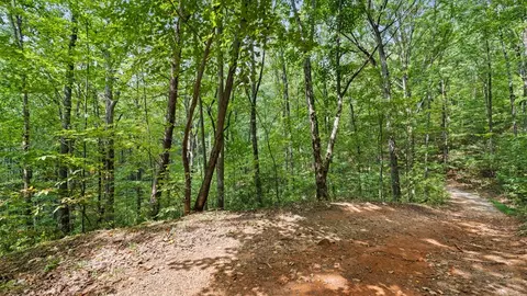 23 B Double Knob, Cherry Log, GA 30522 photo 12