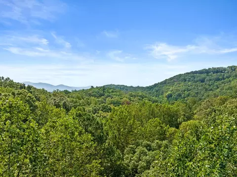23 C Double Knob, Cherry Log, GA 30522 photo 3