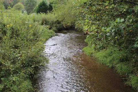 lot13 Creekside Acres, Brasstown, NC 28902