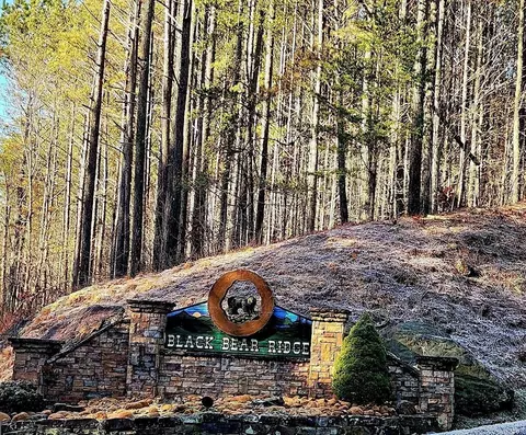 37 Black Bear Ridge Rd, Ellijay, GA 30536
