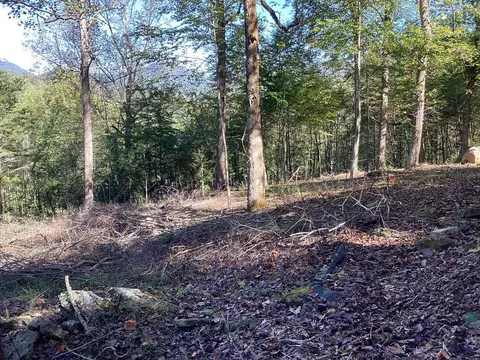 lot2 Buckhead Hls, Hiawassee, GA 30546