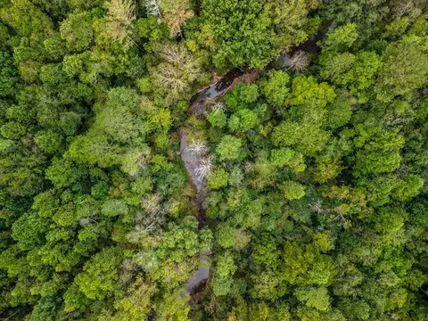 3 11 Ac Old Northcutt Rd, Ellijay, GA 30540