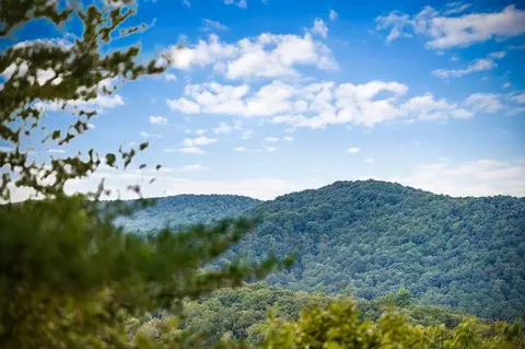 lot16 Buckskin Dr, Blue Ridge, GA 30513