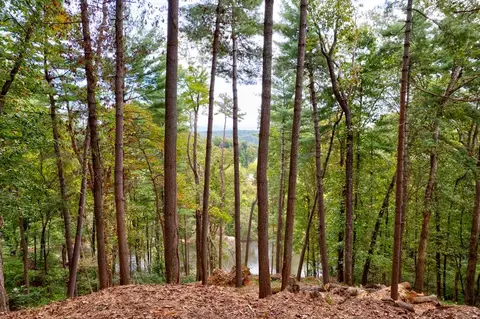 Lt 102r Ponca Court, Ellijay, GA 30540