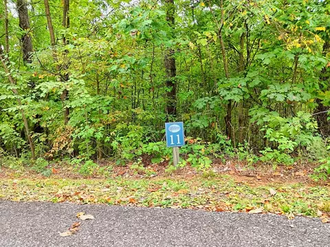 lot11 Skyview Dr, Hayesville, NC 28904
