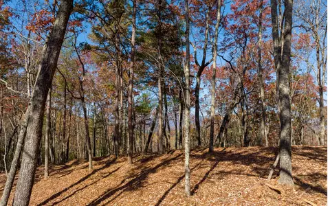 lot39 Preserve Trl, Ellijay, GA 30536