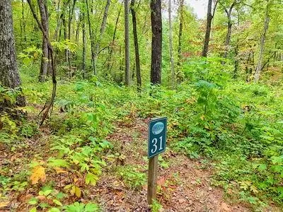 lot31 Skyview Dr, Hayesville, NC 28904