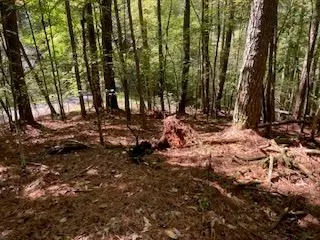 lot278 Guidon, Ellijay, GA 30540