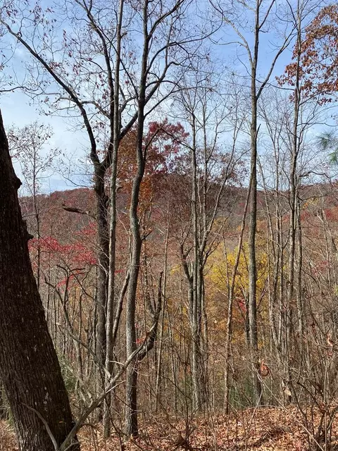 L334 335 Brushy Top Drive, Ellijay, GA 30540