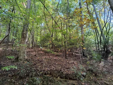 lot334 Cold Stream Ct, Ellijay, GA 30540