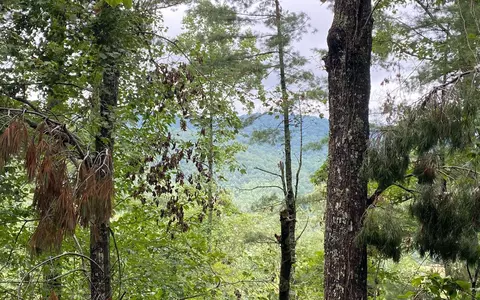 lot55 Laurel Trl, Suches, GA 30572