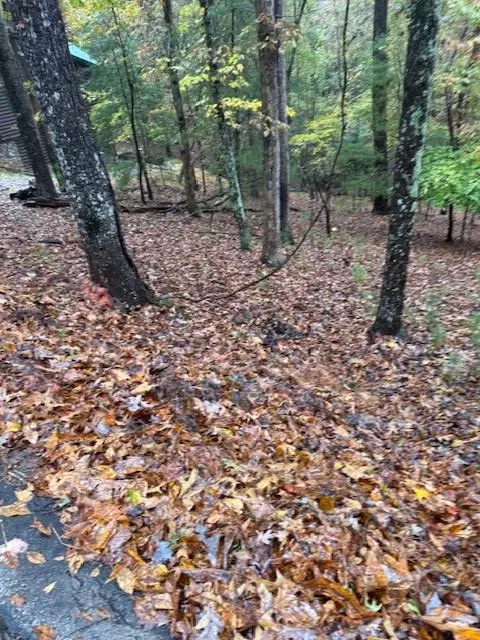 264 Zenith Trail, Ellijay, GA 30540