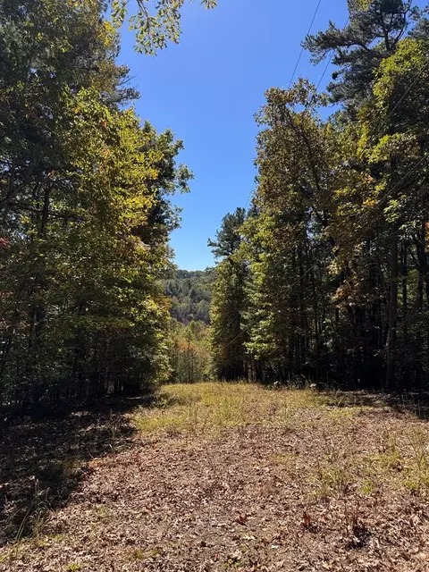 000 Hwy 294, Murphy, NC 28906