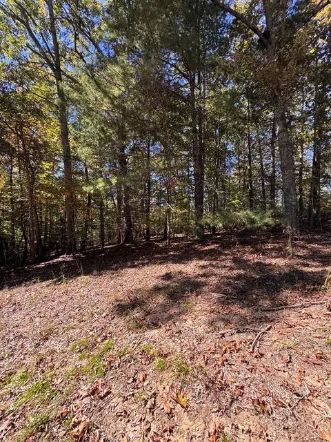 000 Sugarberry Ln, Murphy, NC 28906 photo 3
