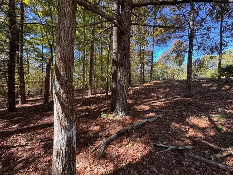 000 Sugarberry Ln, Murphy, NC 28906 photo 6