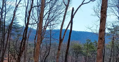 lot1 A Colbert Mountain Rd, Blue Ridge, GA 30513