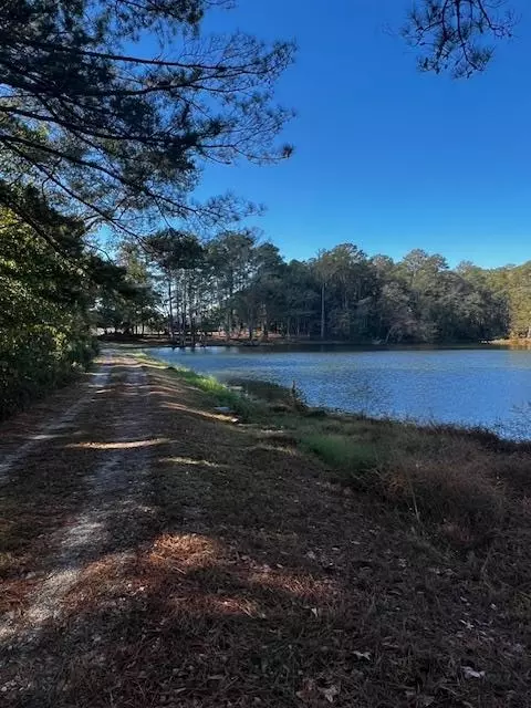View/Area - 1966 Hwy 142 E, Covington, GA 30014 photo 1 of 6