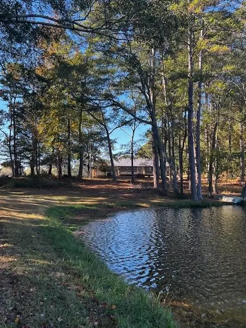 View/Area - 1966 Hwy 142 E, Covington, GA 30014 photo 4 of 6