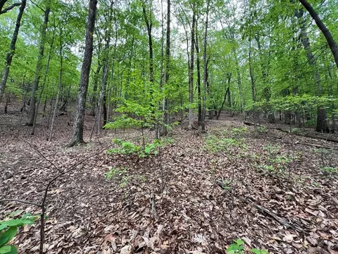 387 Windflower Dr, Dawson, GA 30143