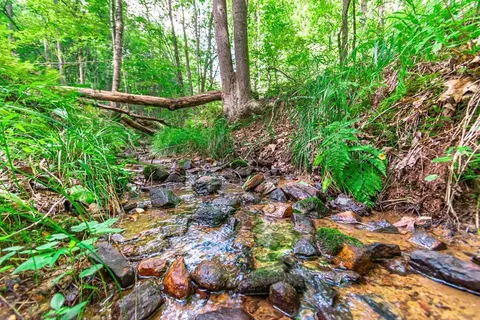 lot22 Meadow Brook Trl, Morganton, GA 30560