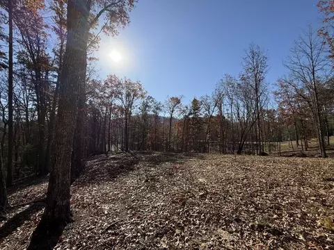 lot24 Crestview Pt, Mineral Bluff, GA 30559