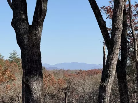 lot75 Morgan Rd, Mineral Bluff, GA 30559
