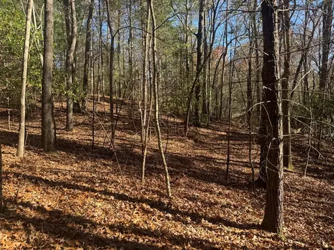 1982 Pinelog Church Rd, Brasstown, NC 28902