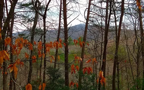 20 Ac Hidaway Dr, Ellijay, GA 30536