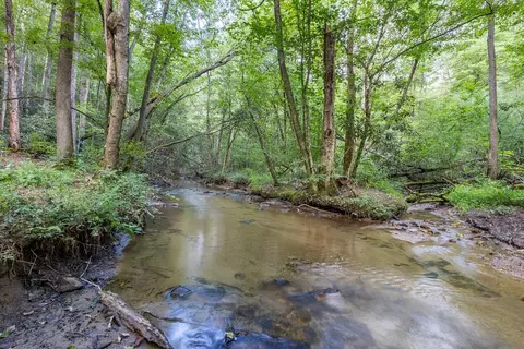 23 59 Ac Chestnut Flats Rd, Andrews, NC 28901