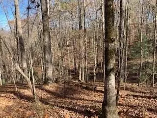lot260 Catawba Cir, Ellijay, GA 30540