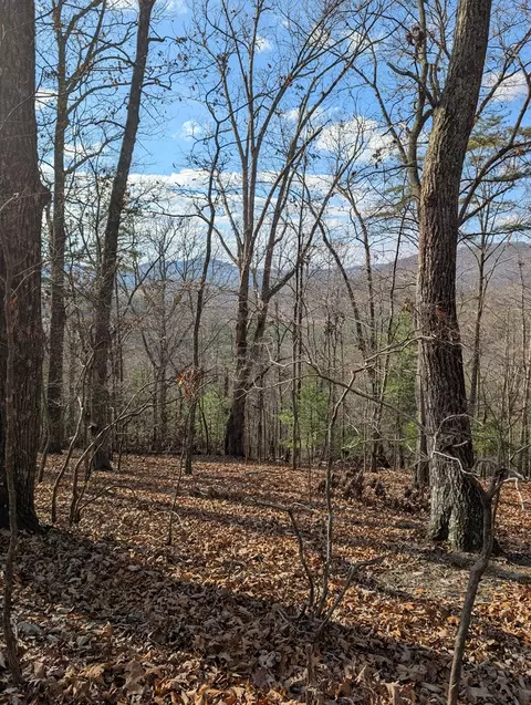 902 Mountain Top Dr, Murphy, MD 20906 photo 10