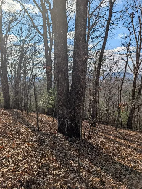 902 Mountain Top Dr, Murphy, MD 20906 photo 11