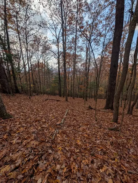 902 Mountain Top Dr, Murphy, MD 20906 photo 12