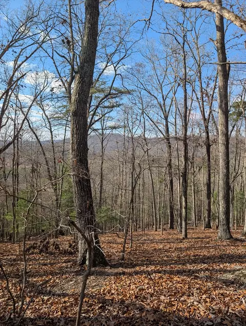 902 Mountain Top Dr, Murphy, MD 20906 photo 8