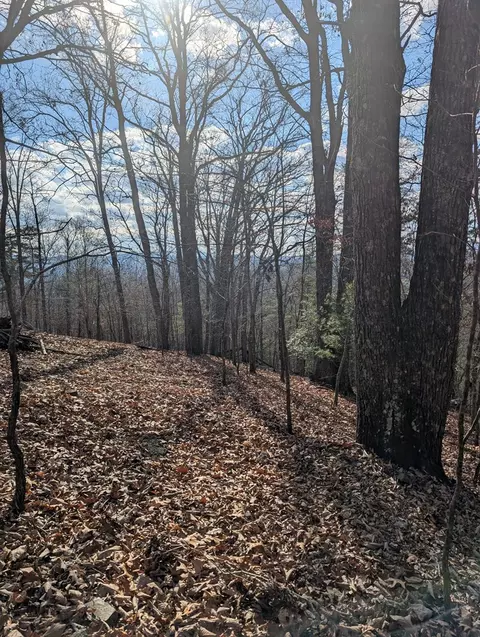 902 Mountain Top Dr, Murphy, MD 20906 photo 9