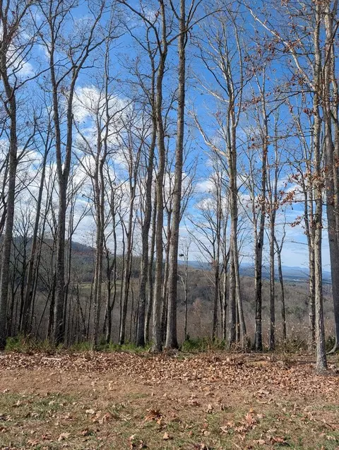 lot91 Winding Rdg, Blairsville, GA 30512
