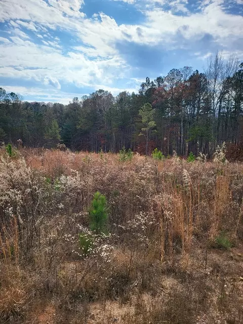 00 Highgrove Dr, Ellijay, GA 30540 photo 7