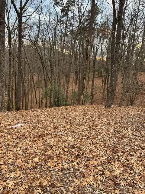 0 Tracks Holw, Murphy, NC 28906