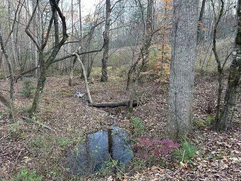lot12 Tombstone Dr, Blairsville, GA 30512
